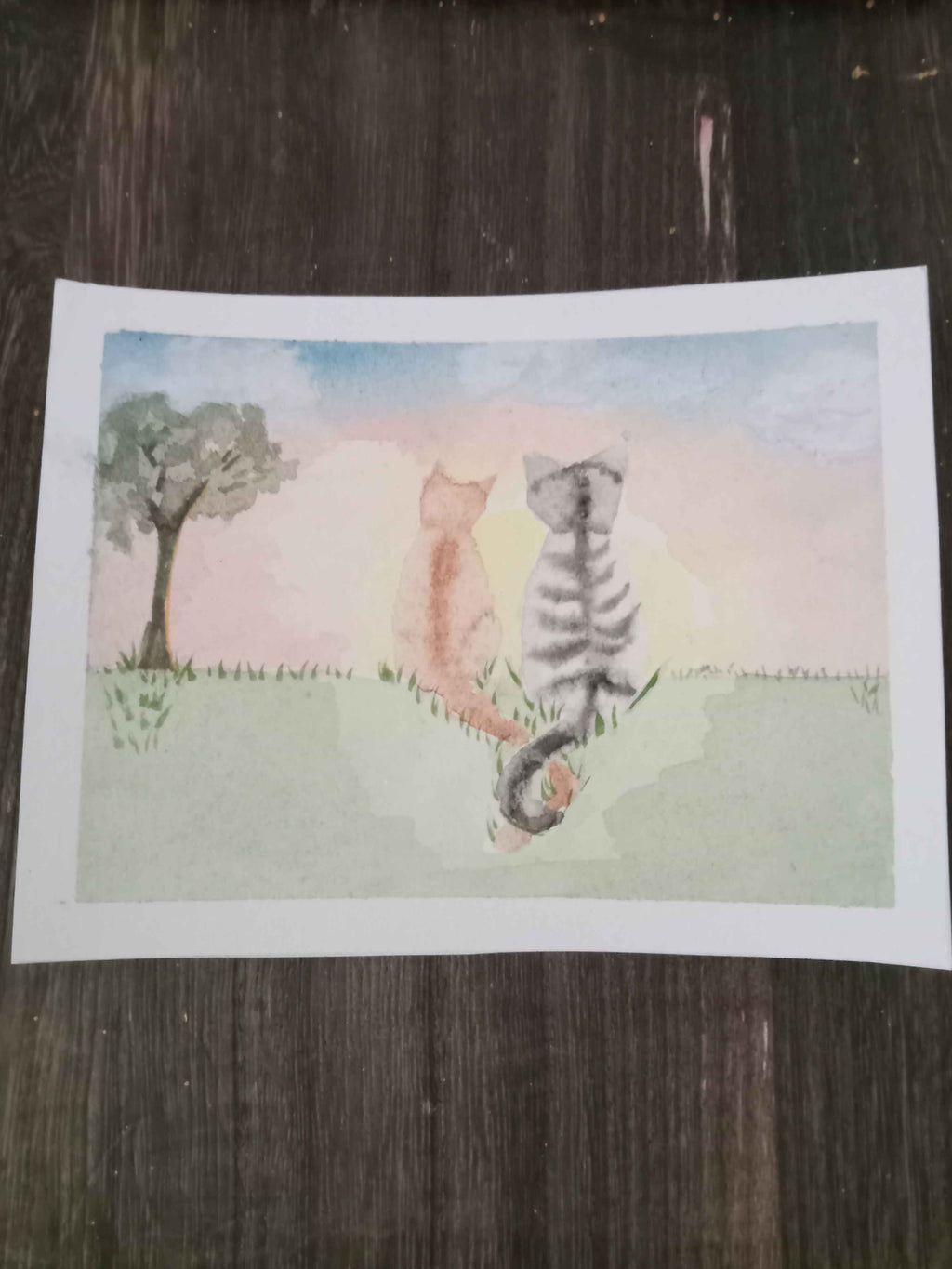 Sunset Cats Postcard