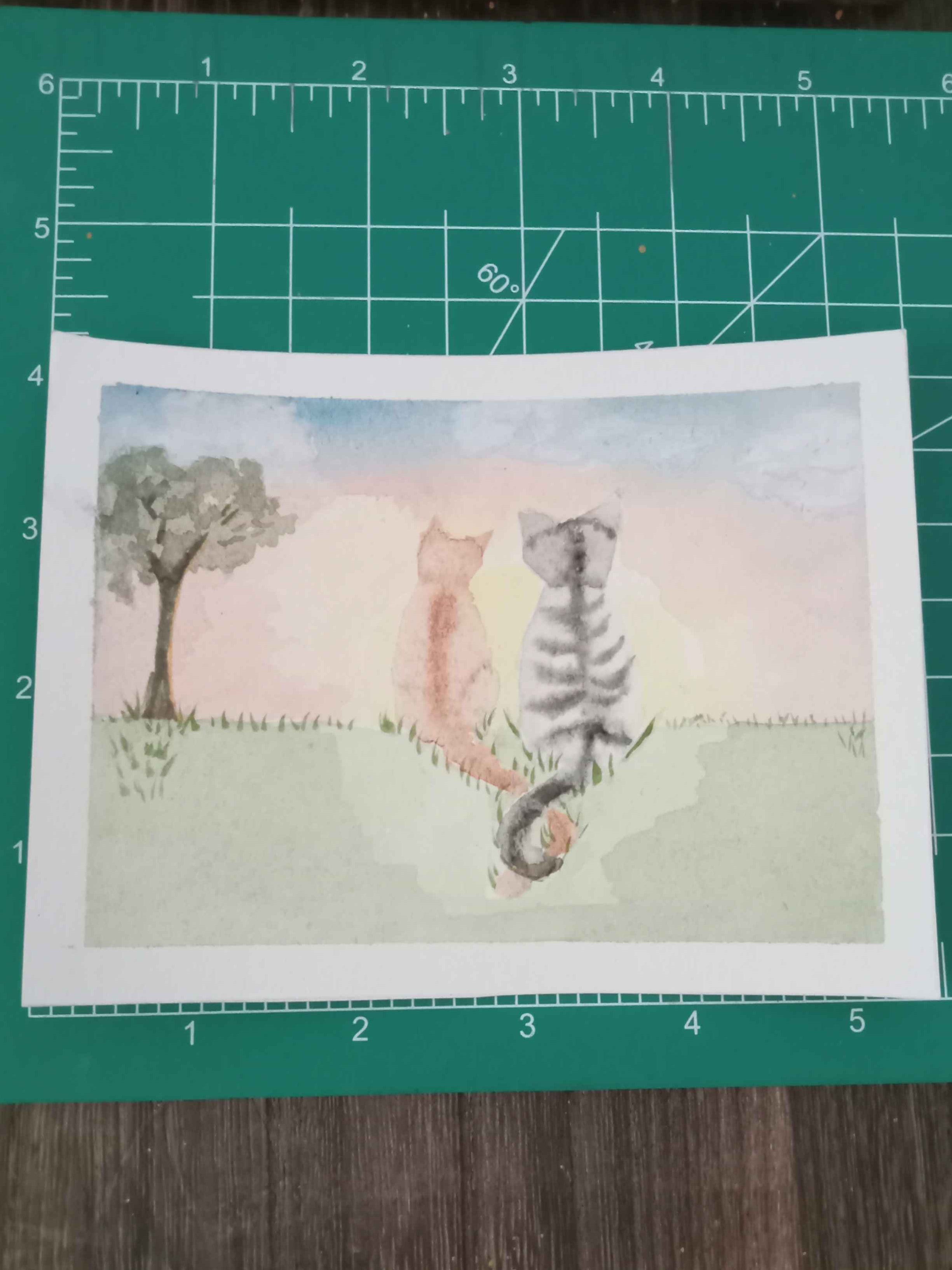 Sunset Cats Postcard