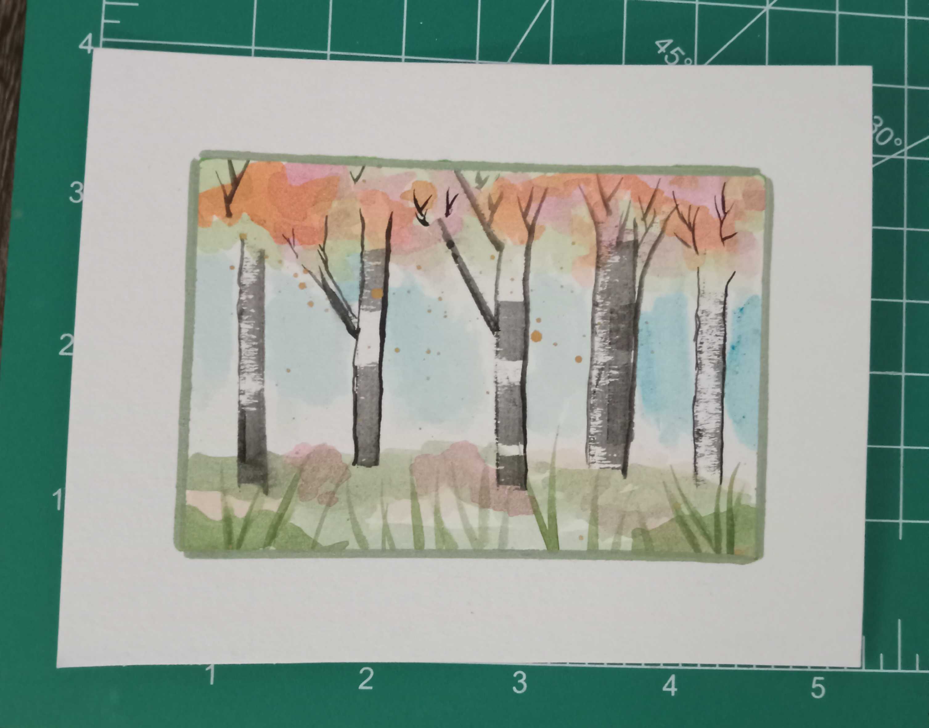 Birch Tree Postcard