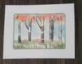 Birch Tree Postcard