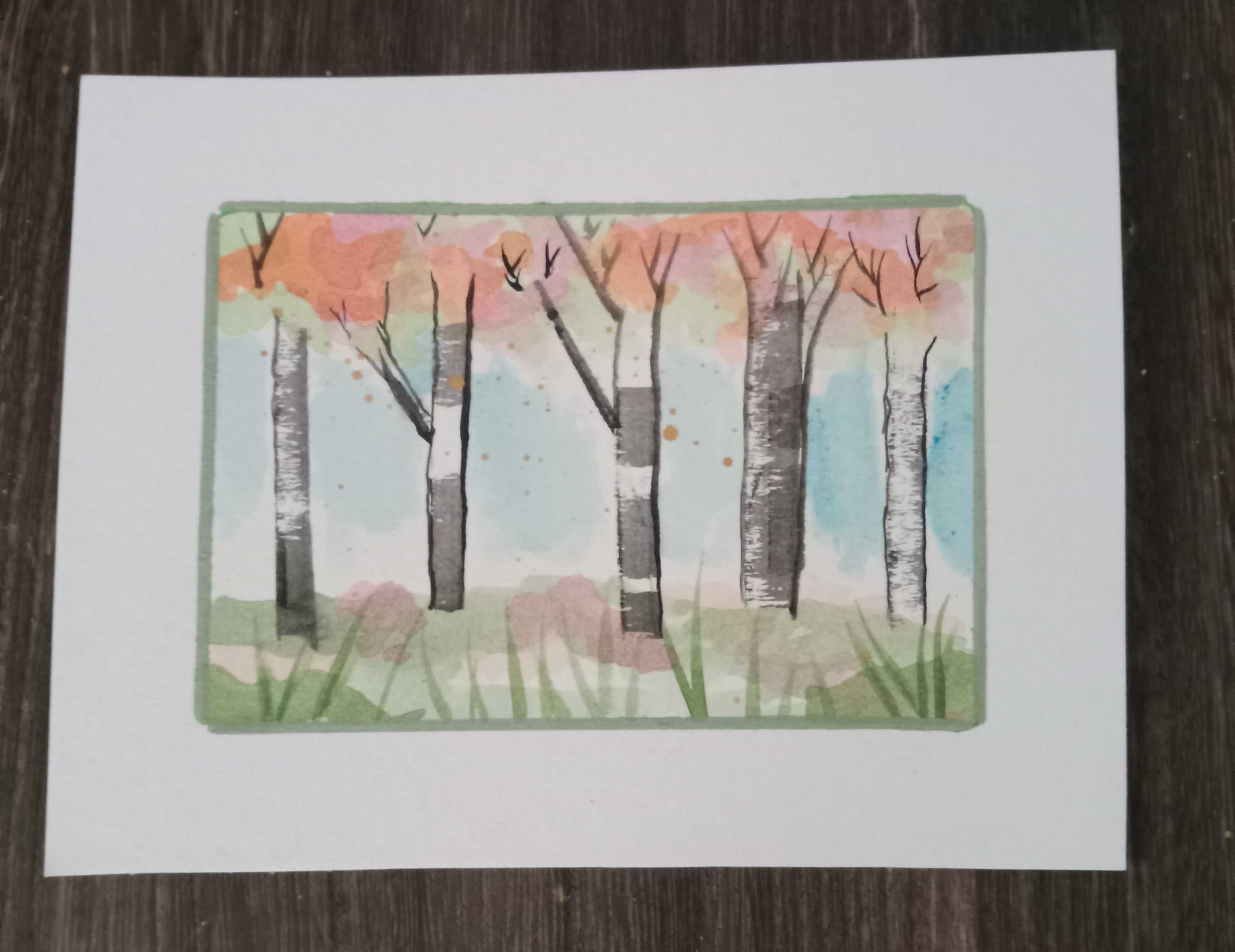 Birch Tree Postcard